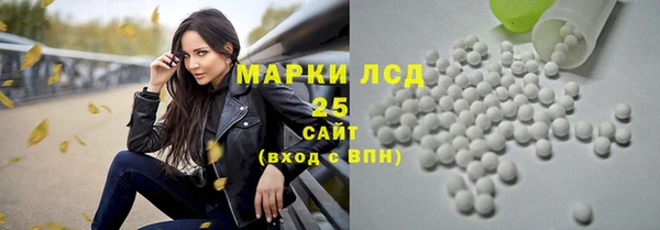 стаф Богородицк