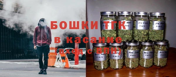 твердый Богородск